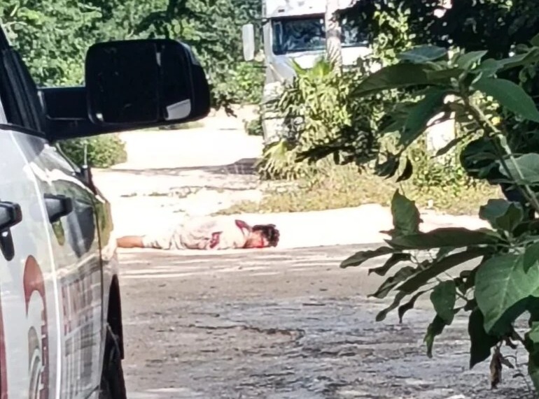 b5d758fc-7643-471a-8ddf-59e5773b3c91