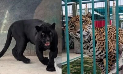 d5ca5792-47df-45c6-8912-666dd9219654