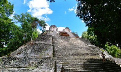 d7fce8f7-d64c-4018-ace0-a83d53e40bd6