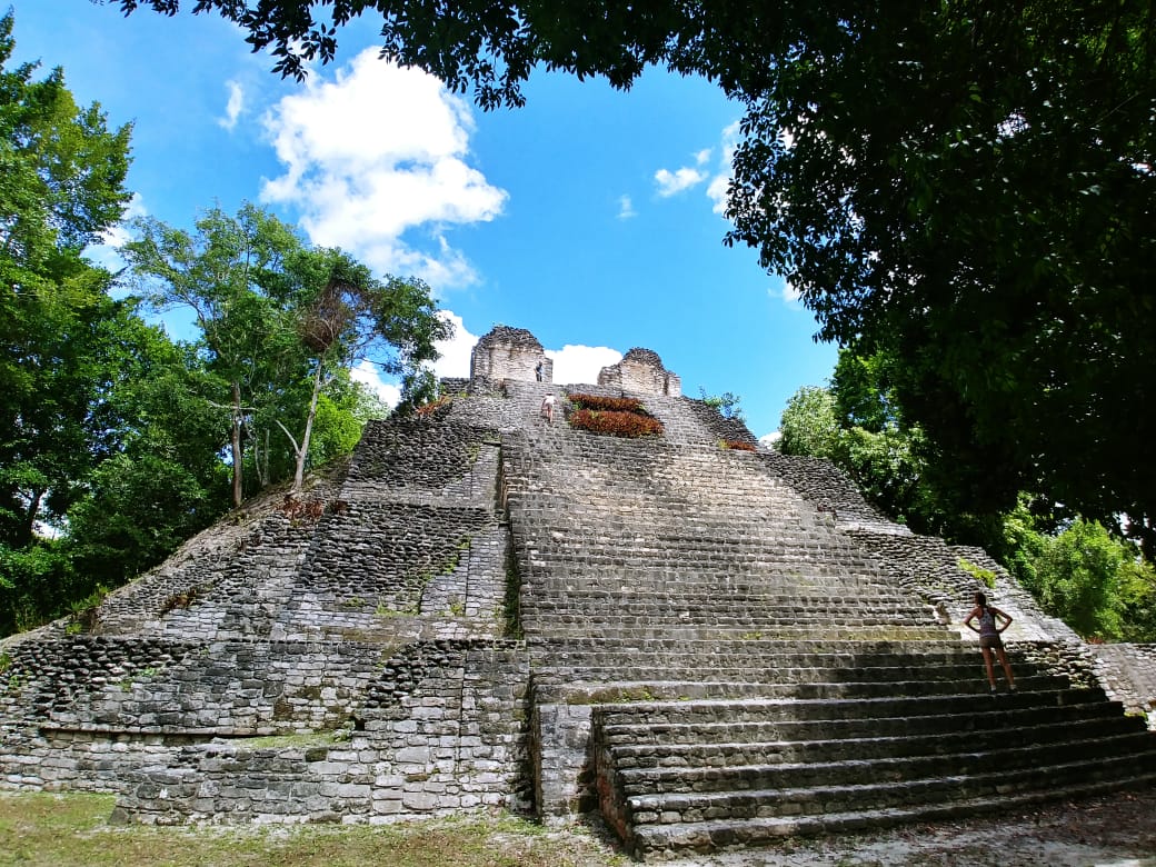 d7fce8f7-d64c-4018-ace0-a83d53e40bd6