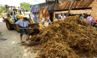 dc6cadd4-baa9-48b1-ae34-5fc4a1bb2a9d