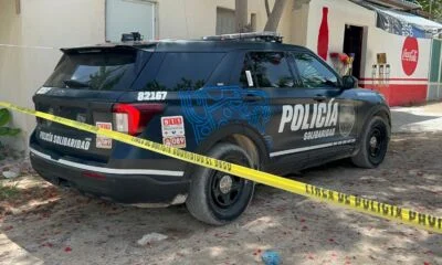 ded1803f-9361-4da6-bc24-9673136bbc82