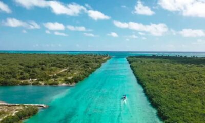 e4111035-3095-407d-a4ff-85d7e14955d6