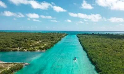 e4111035-3095-407d-a4ff-85d7e14955d6