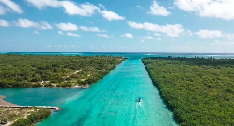 e4111035-3095-407d-a4ff-85d7e14955d6