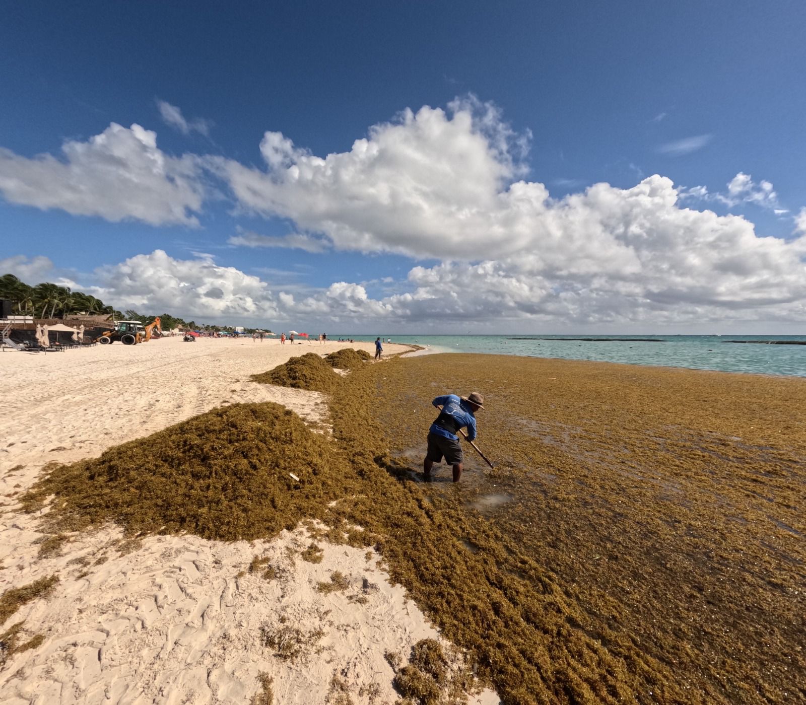 ebcf1b46-62a7-42d7-9c4d-7e7b7ad9f05a