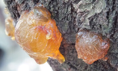 resin-829323_640_large