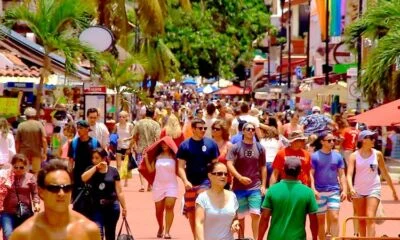 1.-El-Placer-de-Caminar