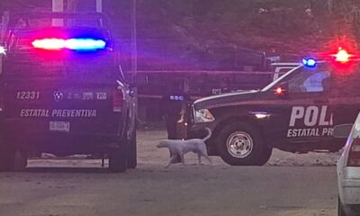 13d8718e-9a69-4d43-be38-1e48047beab2