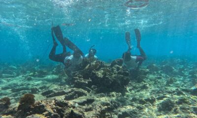 257b29b6-9285-4d50-bee2-399737473a03