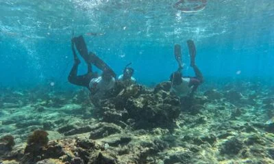 257b29b6-9285-4d50-bee2-399737473a03