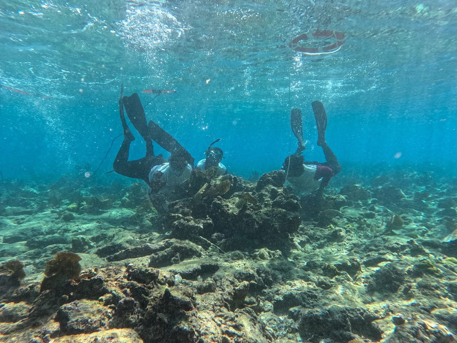 257b29b6-9285-4d50-bee2-399737473a03