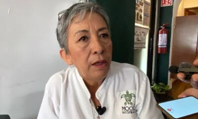 29e81e6b-9858-4ddd-b449-b68c68cce6fa