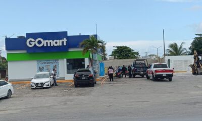 2b9a12ca-fc3e-4f3a-a523-027f69c5d981