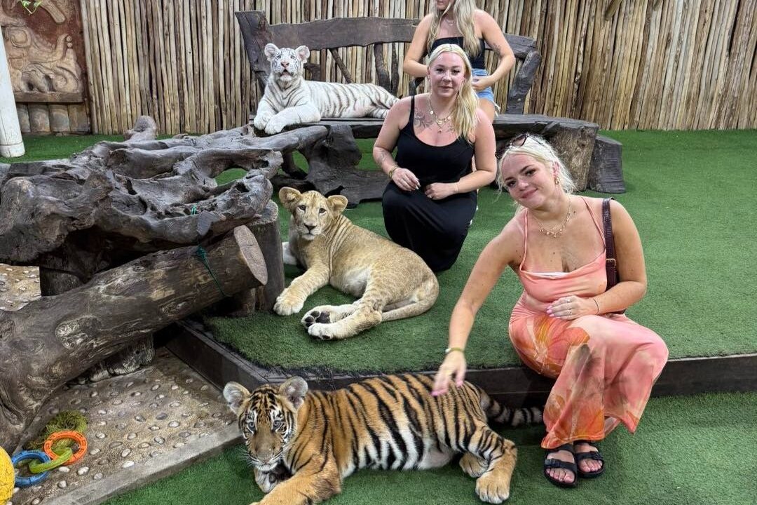 31061c16-59b9-43c3-962d-ac1ab14125ac