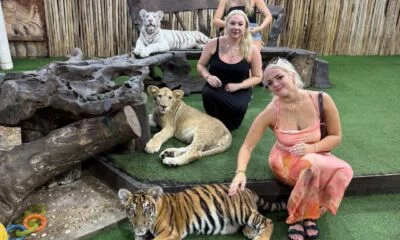 31061c16-59b9-43c3-962d-ac1ab14125ac