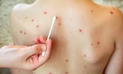 3d993a71-8d22-4706-a4ec-c170bef518a9