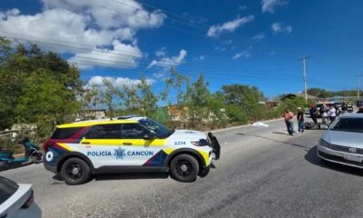 587d3b3c-7ec8-4375-b017-31d01ccae963