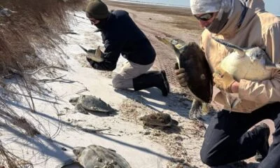 627180437_1544015934400024_2704279104225650033_n