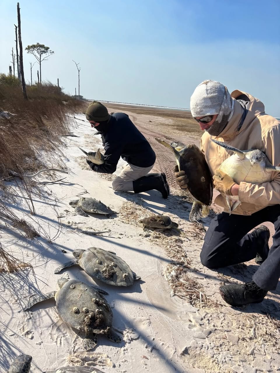 627180437_1544015934400024_2704279104225650033_n