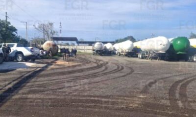 629927042_1505853598121103_6148387286958338080_n