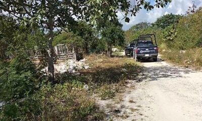 6d00ec6e-4bec-4c84-9ece-74a3a70c2a4a