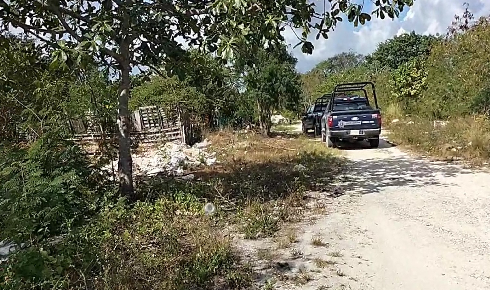 6d00ec6e-4bec-4c84-9ece-74a3a70c2a4a