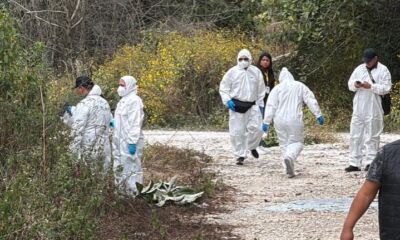 95cb4402-ec1a-441d-9a75-4b635935fdf9