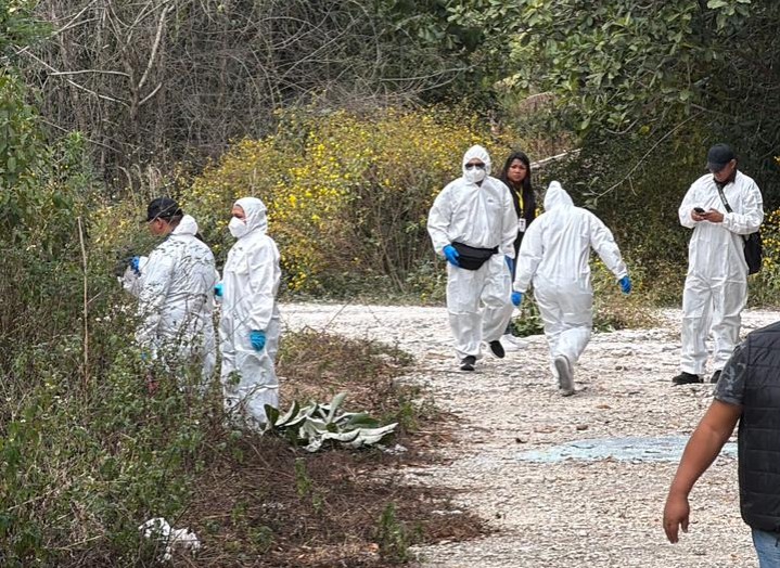 95cb4402-ec1a-441d-9a75-4b635935fdf9