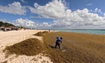 95f54d25-a916-460f-bb9e-2da3804d36d2