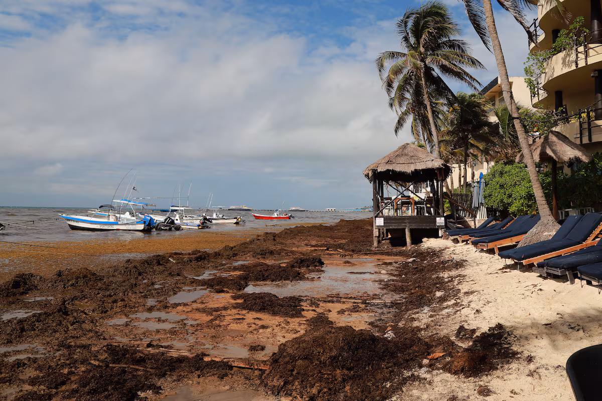 QLZJSYYQS6QYL6L6KAGAY6SQFU