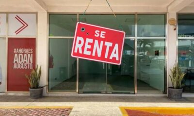 WhatsApp Image 2026-02-06 at 3.40.28 PM