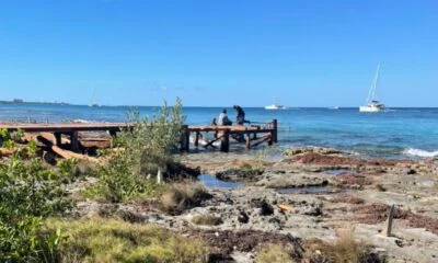 a68bc70f-f632-4d86-a7f7-402fcf957a1e