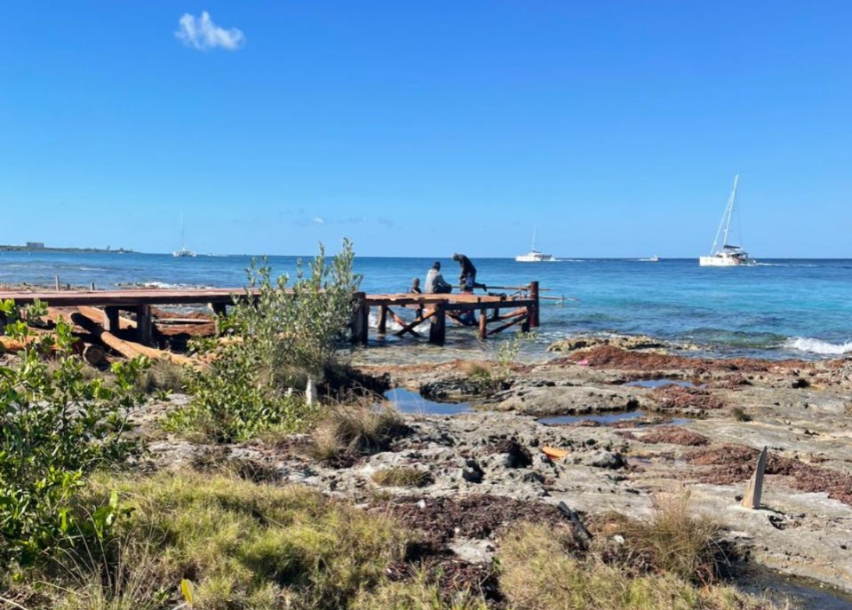 a68bc70f-f632-4d86-a7f7-402fcf957a1e