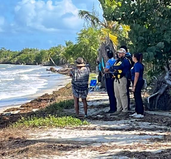 c86fec26-1a7d-4f31-9b32-c0fcf4a6d82a