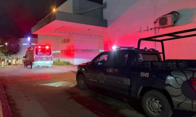 c88d1b86-0215-4c2c-b08e-ecc3b2db4594