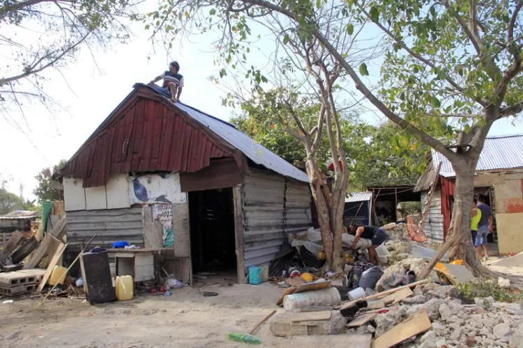 cun28661-ID25677-3456×2304-watermarked-750×500-1