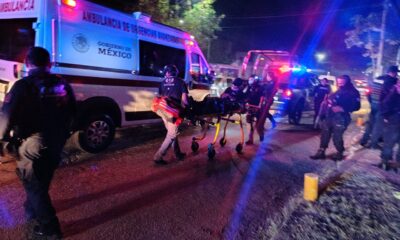 d969420b-d7d8-4b8f-8008-759c54b2930e