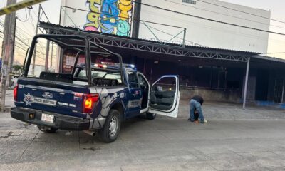 e52038e9-e7d4-4cfa-a564-2824b1199fde