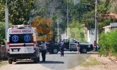 ed464934-570d-43ed-b77f-b9dc649d3177