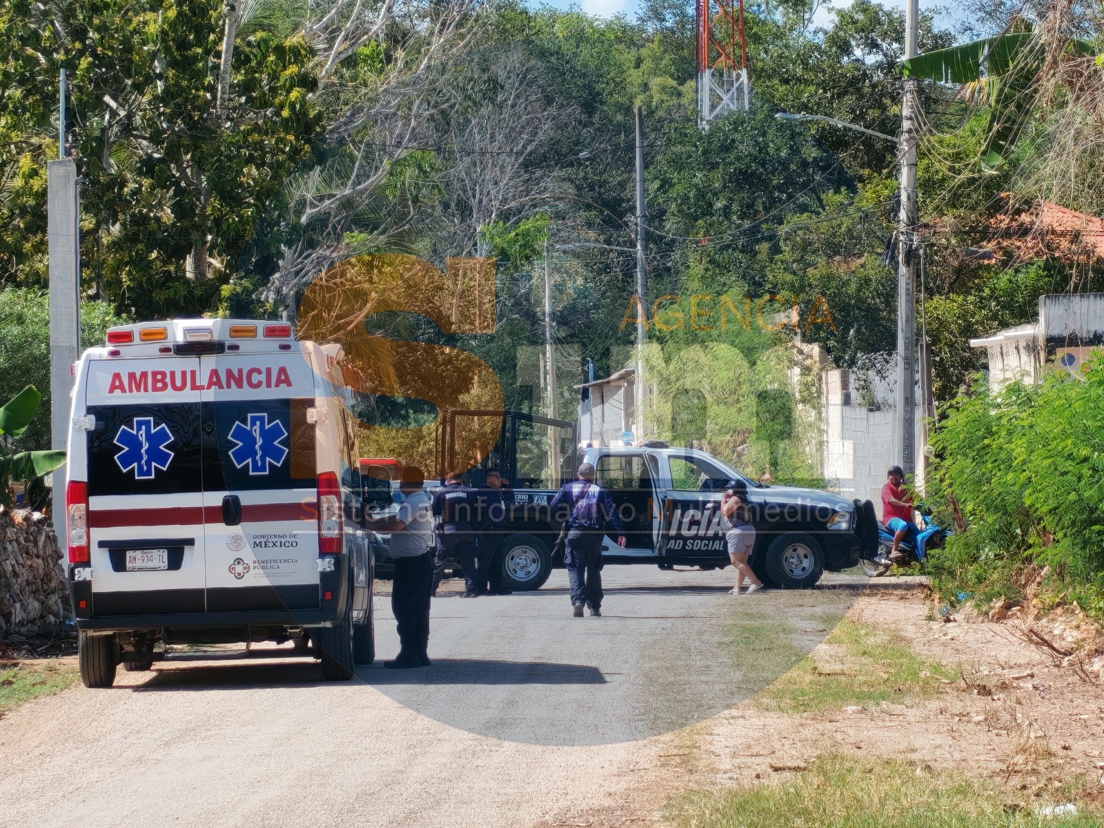 ed464934-570d-43ed-b77f-b9dc649d3177