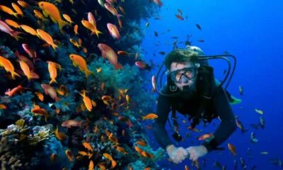 por-que-el-buceo-en-cancun-es-conocido-mundialmente-1100×619