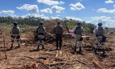 post_Claus_selva_por_actividades_Camp_02