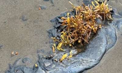 0b708f38-afeb-44d7-a69b-56669f764e22