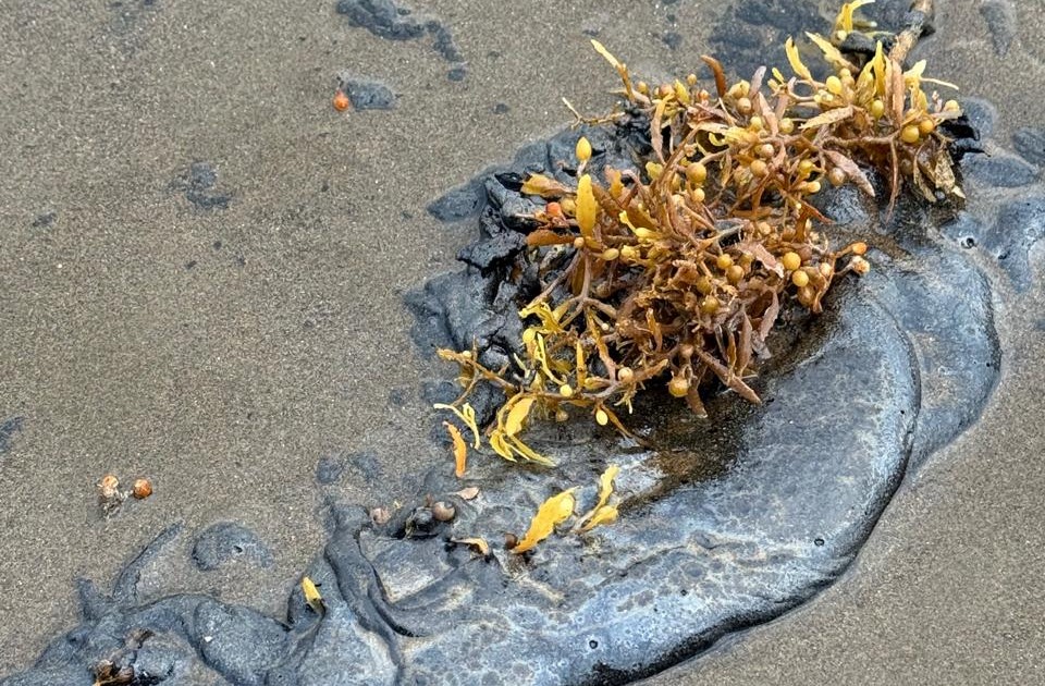 0b708f38-afeb-44d7-a69b-56669f764e22