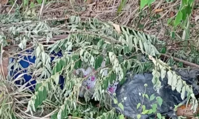 282432xeva20260304212101