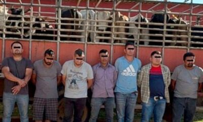 45fbfa15-61b7-4a02-9131-806abc13907a