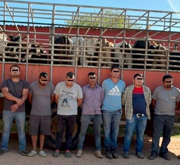 45fbfa15-61b7-4a02-9131-806abc13907a