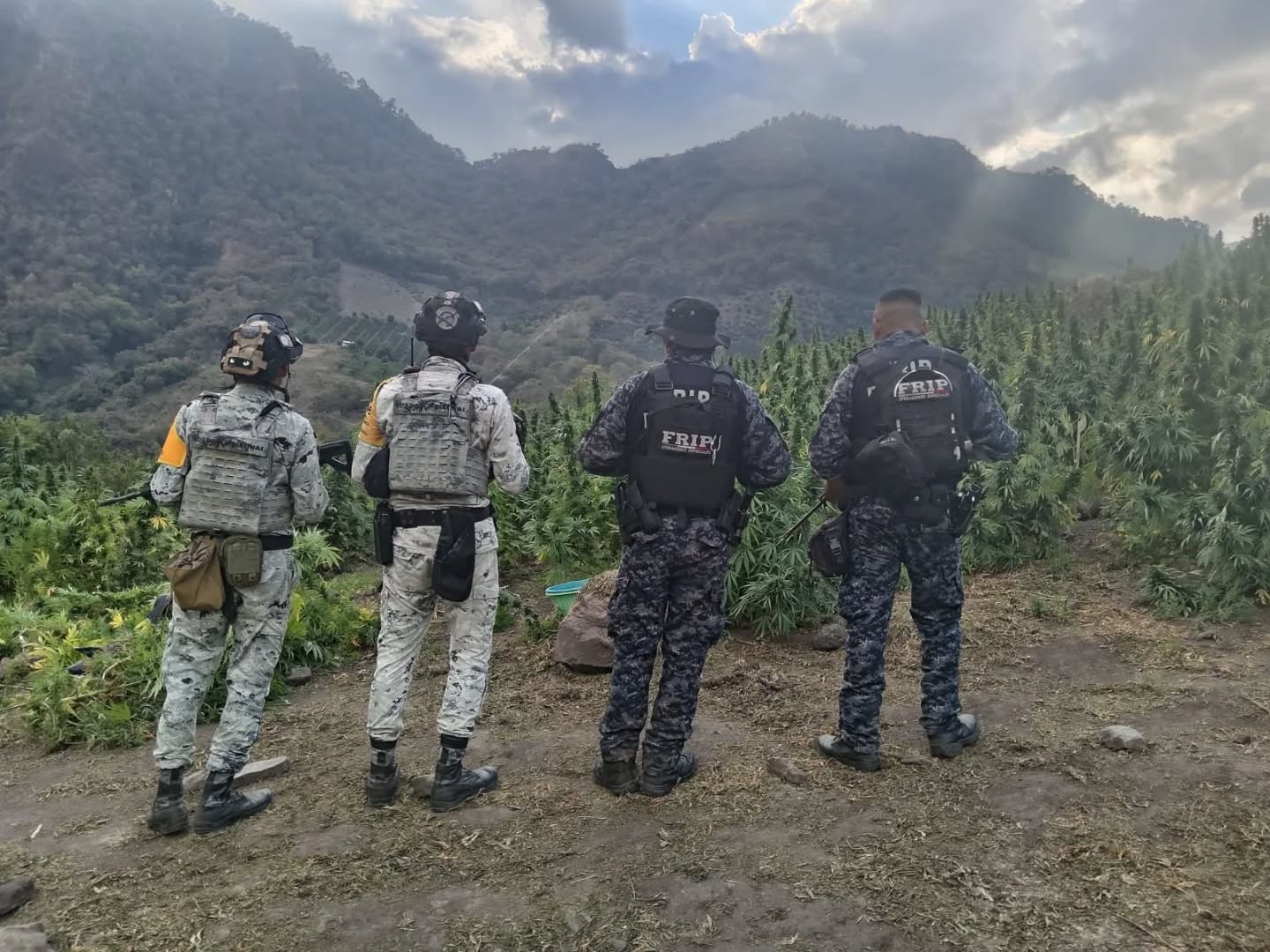 642528179_18096474730959869_948950369238787455_n