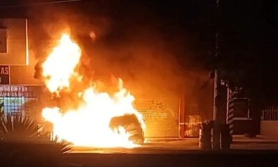 644473273_1535126885286772_8087939988523486613_n